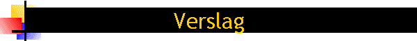 Verslag